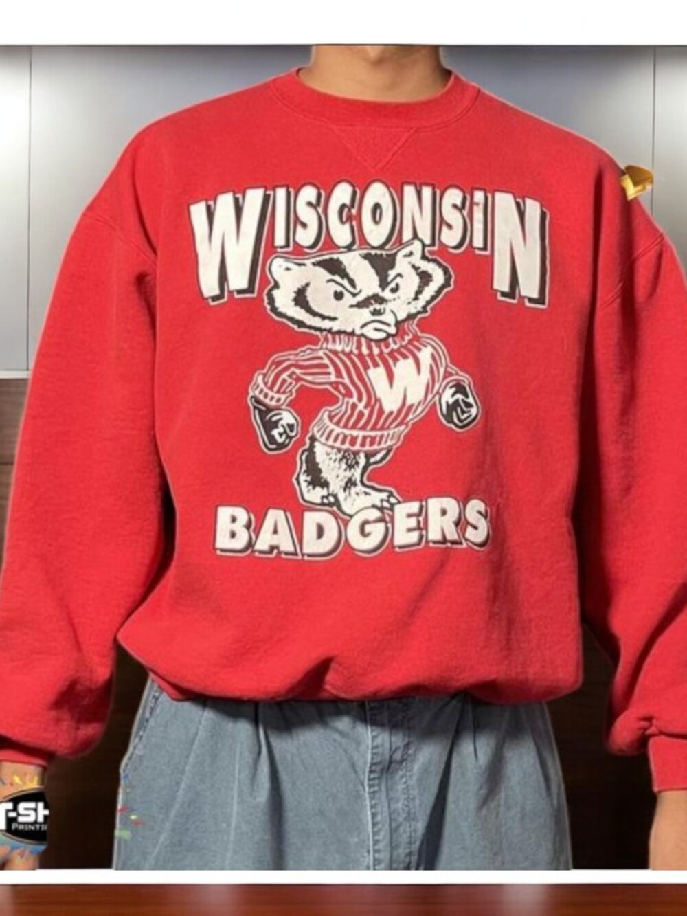 Vintage NCAA Wisconsin Badgers Mascot Shirt, University of Wisconsin Shirt
